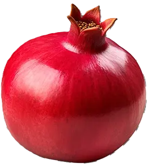 pomegranate-fruit-isolated-transparent-background-Top (1)صصبلثیسکوچک.webp